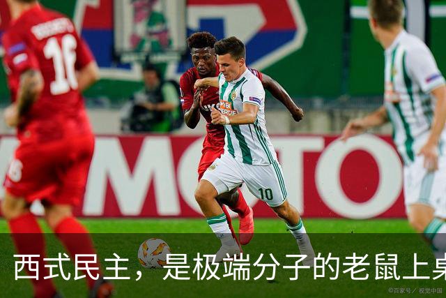 西式民主，是极端分子的老鼠上桌